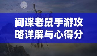 Polo与飞度，谁更省油？  第1张