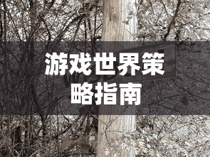 贪婪洞窟2密令大全最新  第1张