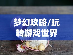 手游新世界，探索无尽神谕游戏体验评测  第1张
