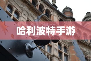 gogogo免费观看高清视频大全  第1张