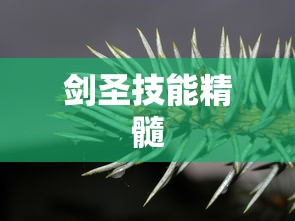 手游剑圣双刀攻略，掌握剑圣技能的精髓  第1张