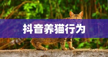 春运返程抢票攻略，掌握这些方法，顺利回家不再难  第1张
