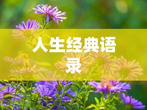 圣导师怎么加点最好  第1张