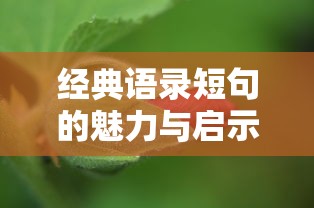 特警出击电视剧免费观看  第1张