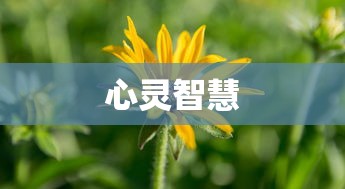 快手APP提现金流程详解  第1张