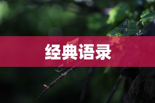 东风标致308三厢1.6L手动风尚版  第1张