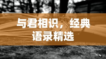 百夫长中坦  第1张
