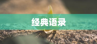 保安证怎么考网上报名教程  第1张