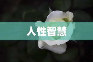 听见你的声音韩剧  第1张