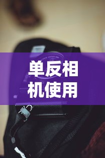 赵丽颖新剧《法医狂妃》免费观看  第1张