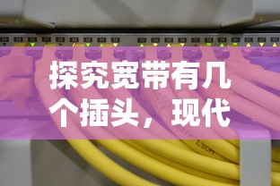 探究宽带有几个插头，现代家庭网络连接的细节解析  第1张