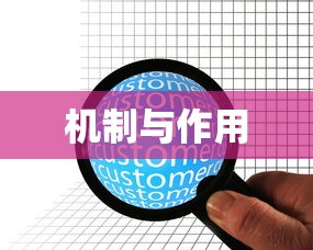 王国纪元下载官网  第1张