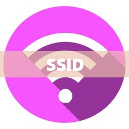 探寻SSID，无线网络中的身份标识  第1张