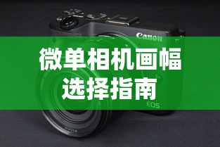 康熙王朝50集在线观看免费完整版  第1张