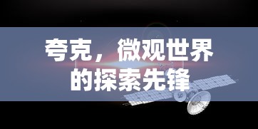 网娃乐园官方恢复  第1张