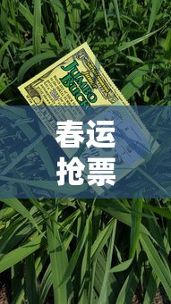 春运抢票攻略，取票码的重要性与便捷性探讨  第1张