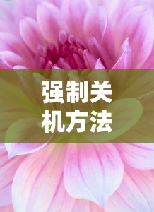 iPad Pro死机怎么办？强制关机方法详解  第1张