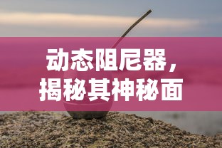 动态阻尼器，揭秘其神秘面纱  第1张