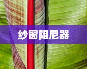 纱窗阻尼器的原理与作用  第1张