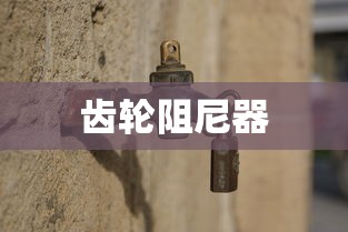 齿轮阻尼器的原理和作用  第1张