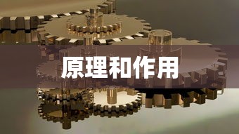 结构阻尼器的原理和作用  第1张