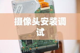 狩猎原野，手游组队探险的乐趣  第1张