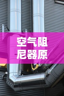 空气阻尼器的原理和作用  第1张