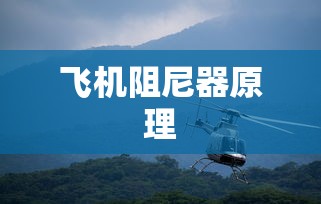 飞机阻尼器的原理和作用  第1张