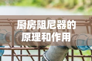 厨房阻尼器的原理和作用  第1张