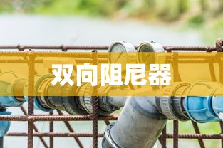 双向阻尼器的原理和作用  第1张