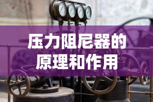 压力阻尼器的原理和作用  第1张