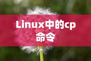 深入了解Linux中的cp命令，如何复制属性  第1张