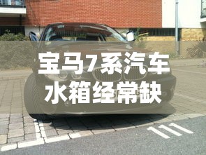暴烈之甲属性  第1张