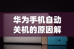 终极斗士4  第1张