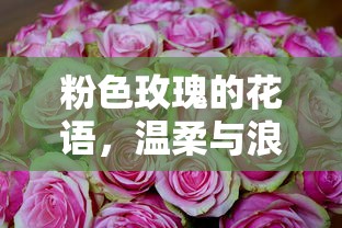 白童子技能平安京  第1张