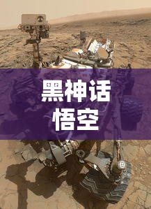 密战电影免费完整版在线观看  第1张
