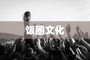 饭圈文化侵入体育圈，影响与挑战  第1张