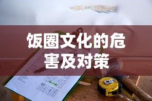 饭圈文化的危害及对策  第1张