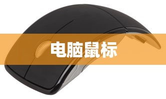 电脑鼠标的使用指南  第1张