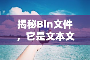 揭秘Bin文件，它是文本文件吗？如何打开？  第1张
