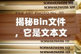 揭秘Bin文件，它是文本文件吗？  第1张