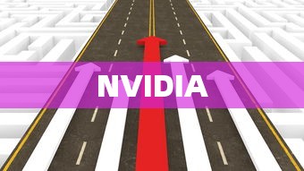 NVIDIA，图形处理领域的先驱软件巨头  第1张