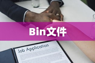揭秘Bin文件，功能与用途的深入解析  第1张
