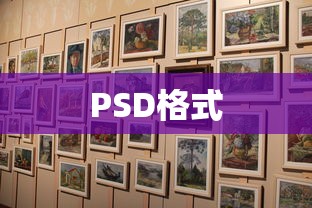 揭秘PS的PSD格式，设计与创意的完美结合  第1张