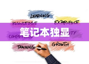 笔记本2G独显详解，性能与应用的探索  第1张