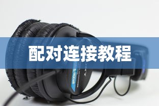 美国海盗2斯塔涅复仇2成⼈  第1张