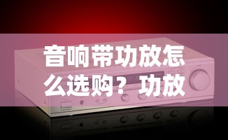 音响带功放怎么选购？功放音响选购方法介绍（详解）  第1张