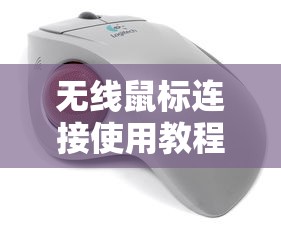 自主选车牌号规定详解  第1张