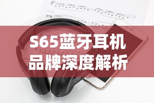 S65蓝牙耳机品牌深度解析，哪个品牌更胜一筹？品牌推荐详解  第1张