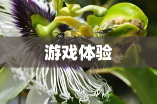 魅族15配置参数  第1张